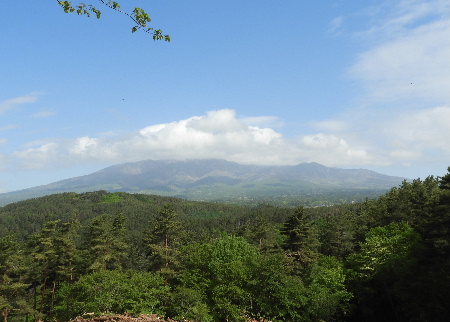 e0172950_2041542.jpg