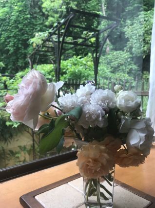 薔薇_f0183152_11080061.jpg