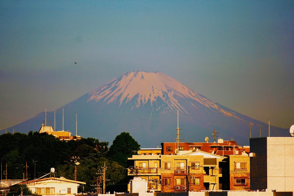 a0248459_13535163.jpg