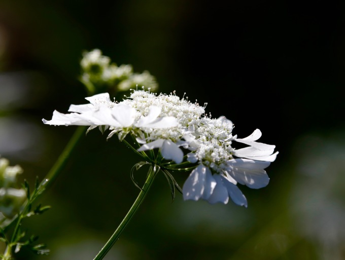 a0248459_14051130.jpg