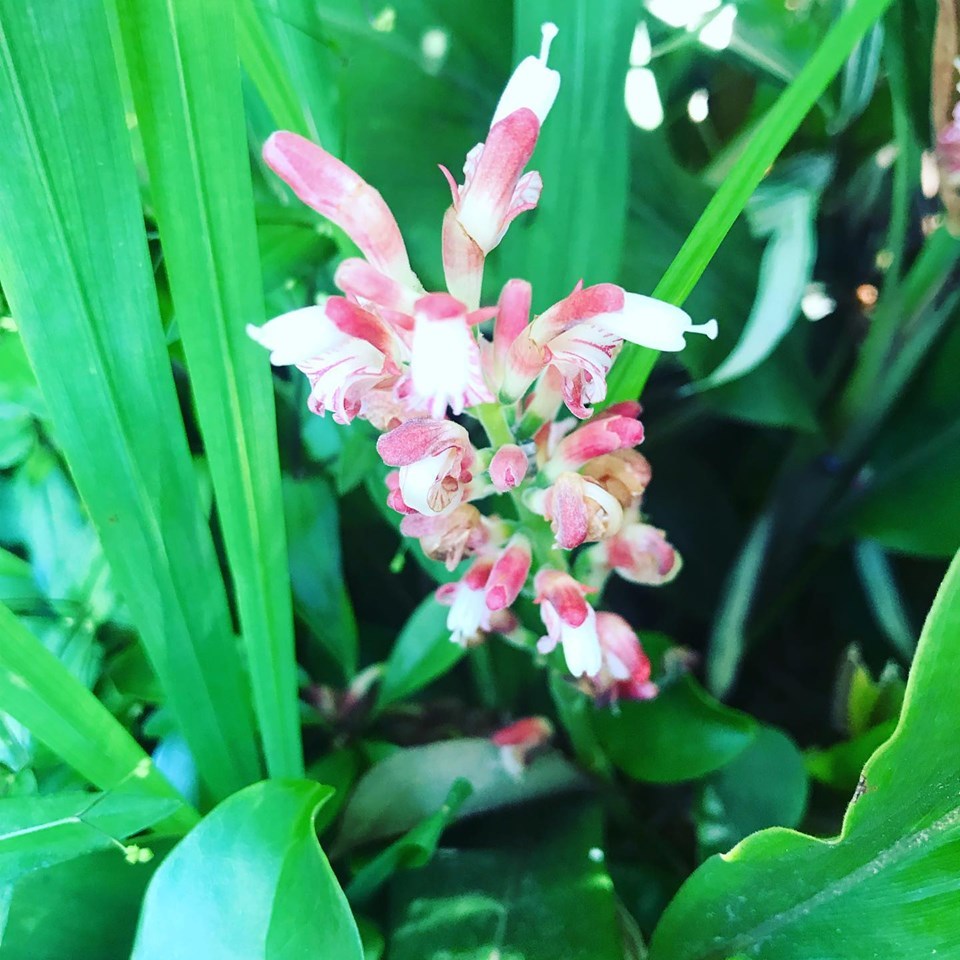 c0115560_11224375.jpg