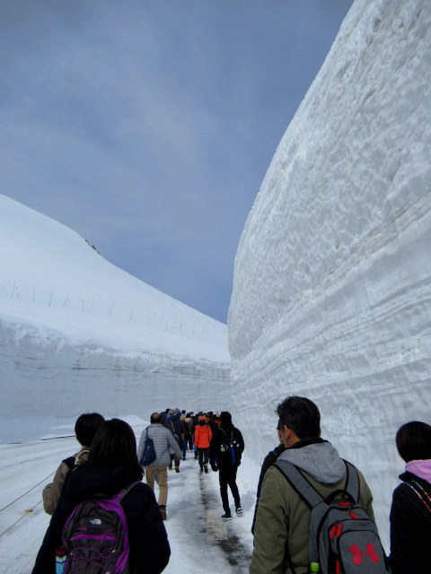 ⑦GW/立山黒部・雪の大谷へ ＊ 念願の雪の大谷ウォーク♪_f0236260_00302700.jpg