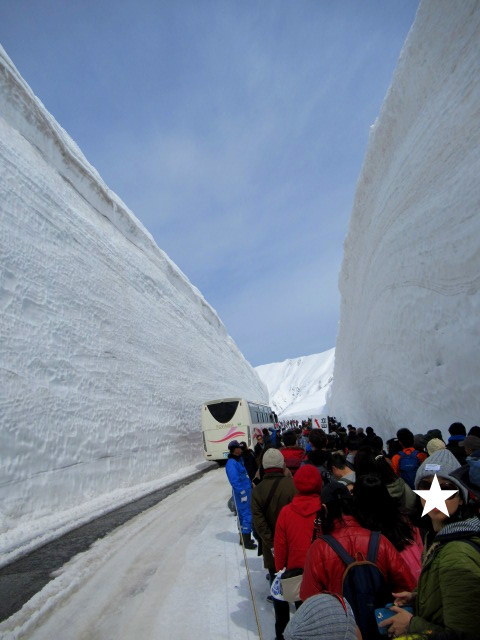 ⑦GW/立山黒部・雪の大谷へ ＊ 念願の雪の大谷ウォーク♪_f0236260_00433217.jpg