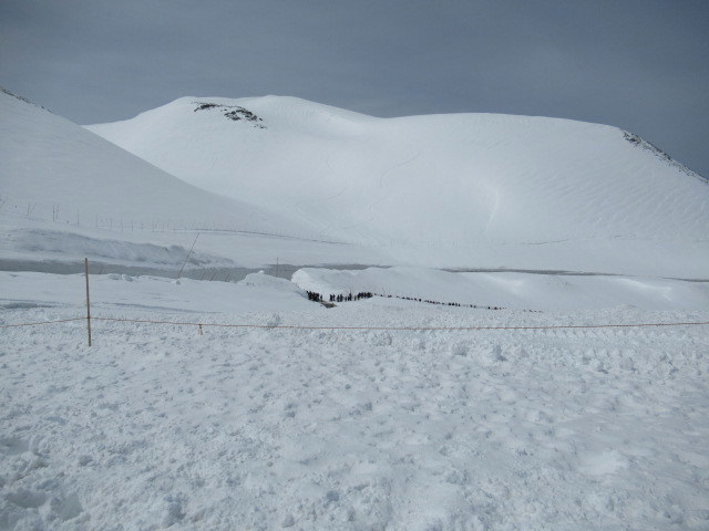 ⑦GW/立山黒部・雪の大谷へ ＊ 念願の雪の大谷ウォーク♪_f0236260_00520200.jpg