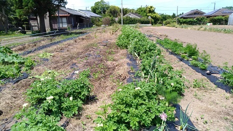 f0186462_00434688.jpg