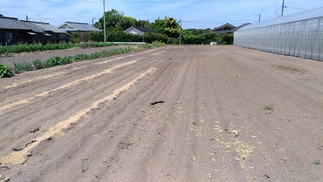 f0186462_00434946.jpg