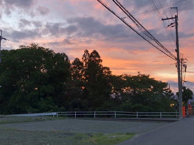 c0331864_18044725.jpeg