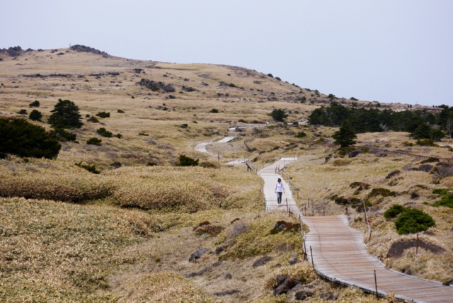 済州島　ハルラ山登山_b0358575_21305214.jpg