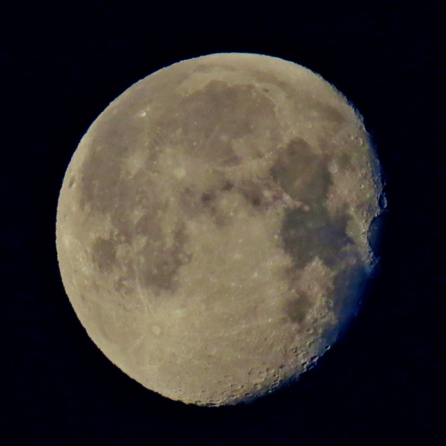 c0183777_65796.jpg