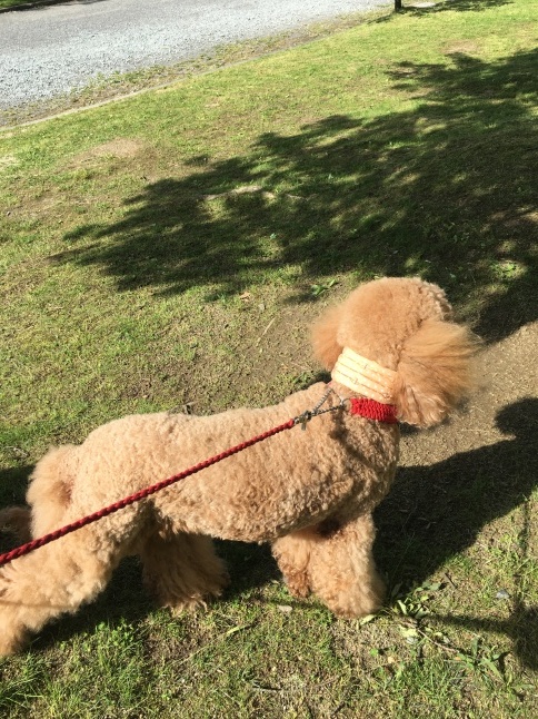 c0283778_14374196.jpeg