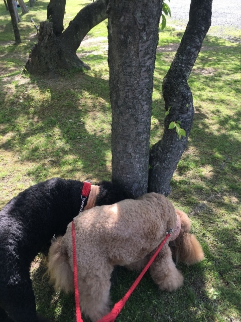 c0283778_14400216.jpeg