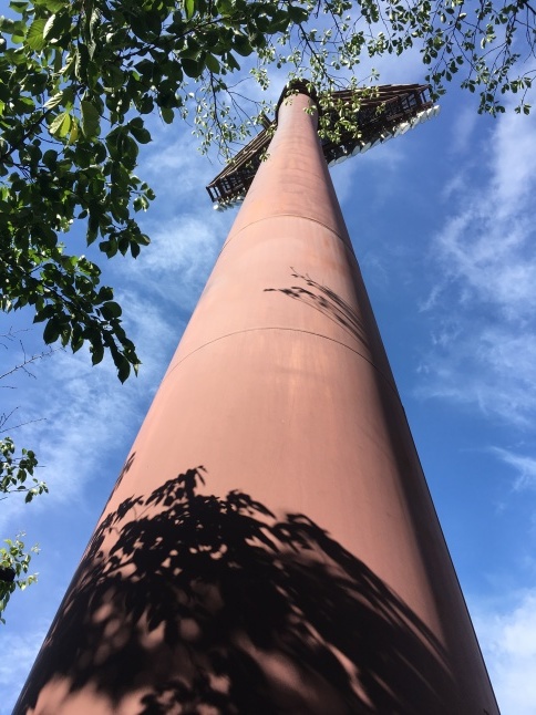 c0283778_14442760.jpeg