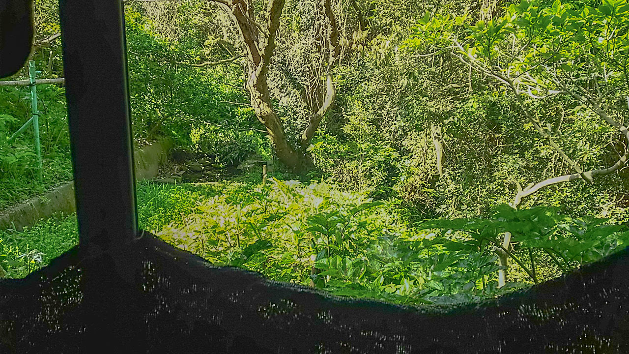 a0052080_17521182.jpg