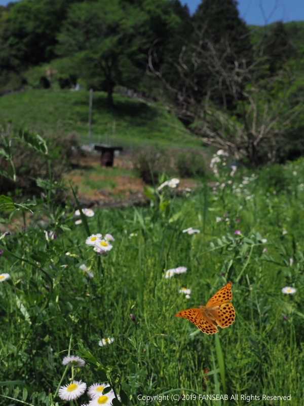 f0090680_2040315.jpg