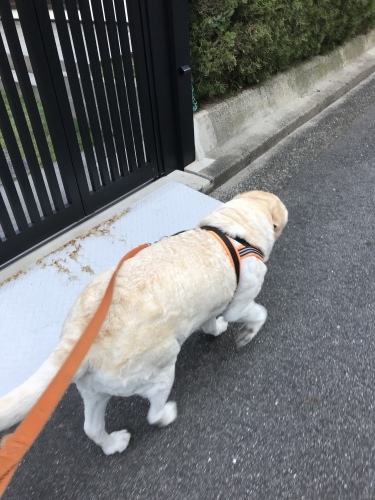 f0315081_21494088.jpeg