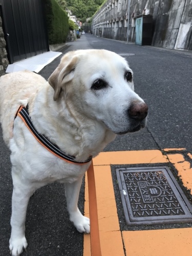 f0315081_21524450.jpeg