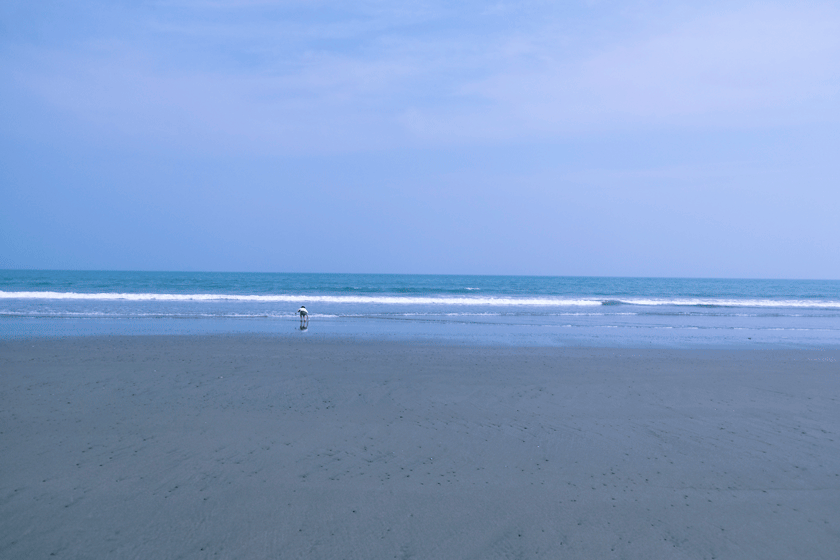 e0243382_06302098.gif