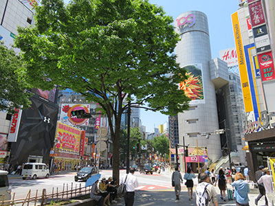 b0056983_15272386.jpg