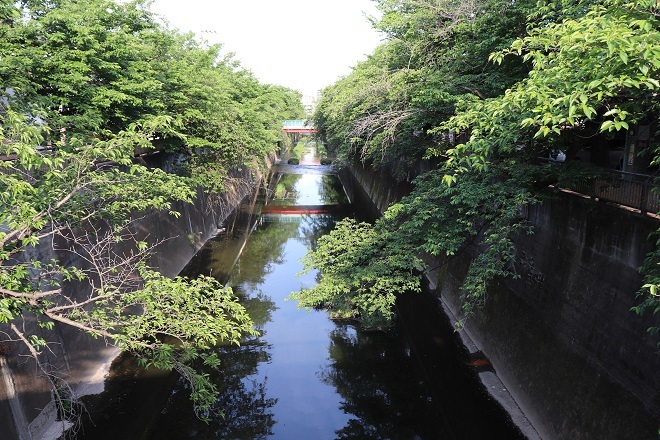 鎌倉道中道（西回り）（2）笹塚～中板橋03-上板橋_d0183387_23340989.jpg