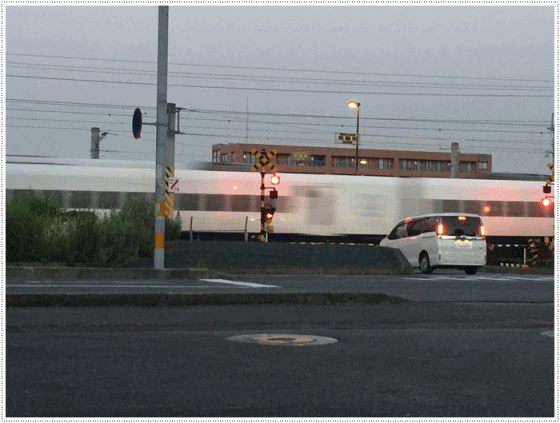 b0175688_21422809.gif