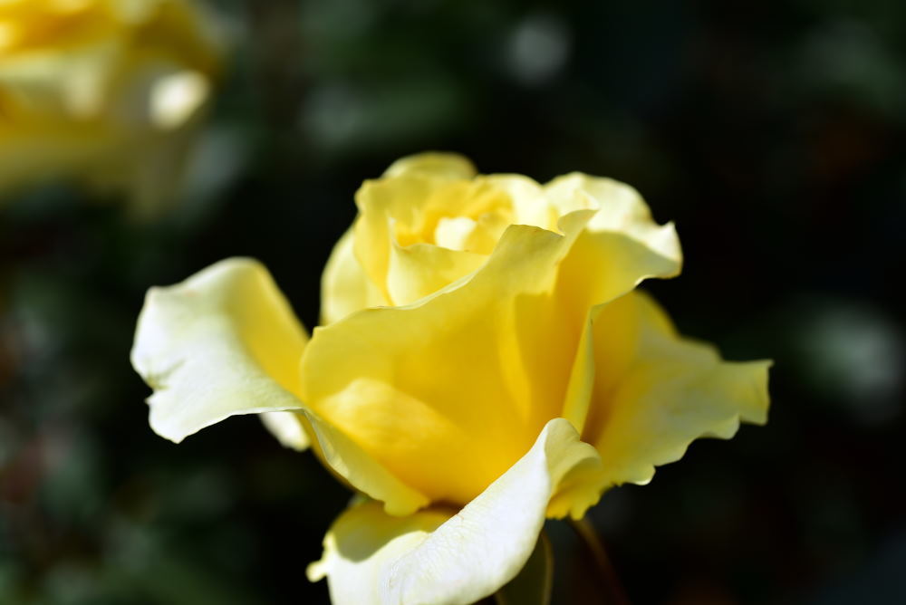 c0252688_15343392.jpg