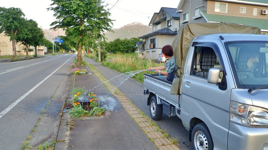 晴天続きで\"緊急事態\"、花の苗が・・・_c0336902_22221937.jpg