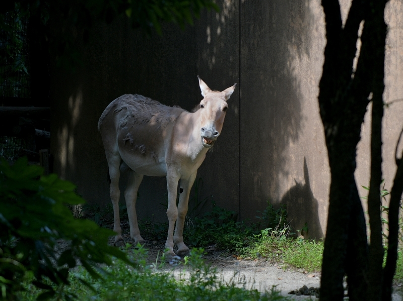 ミンミンと大切なガイドの日_a0164204_02183580.jpg