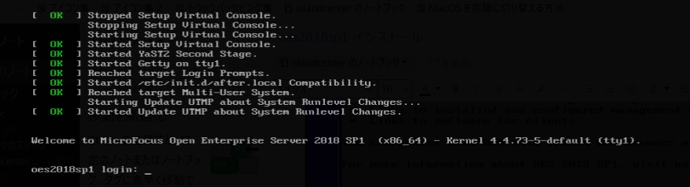 OES 2018 SP1 Install ファーストインプレッション_a0056607_12010942.png