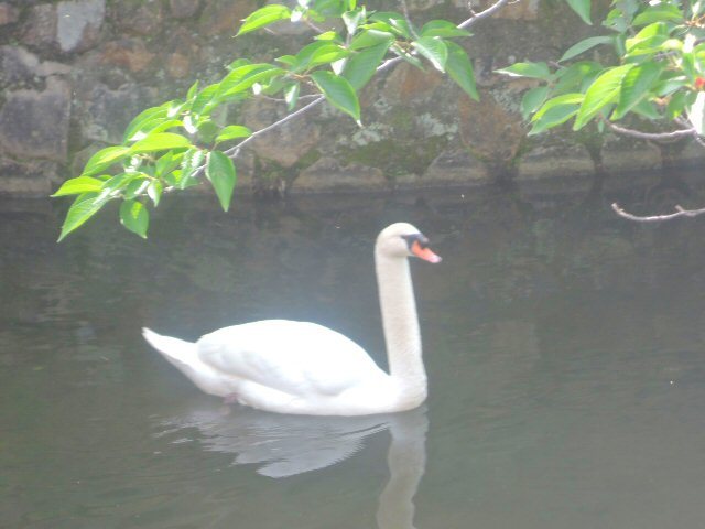 f0373109_08345904.jpg