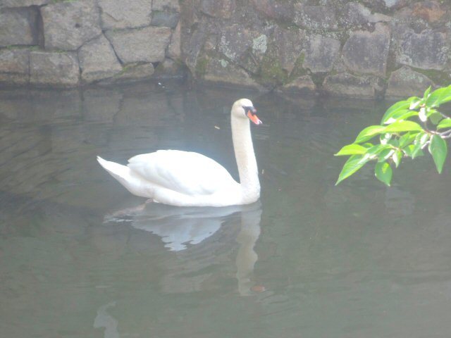 f0373109_08352267.jpg