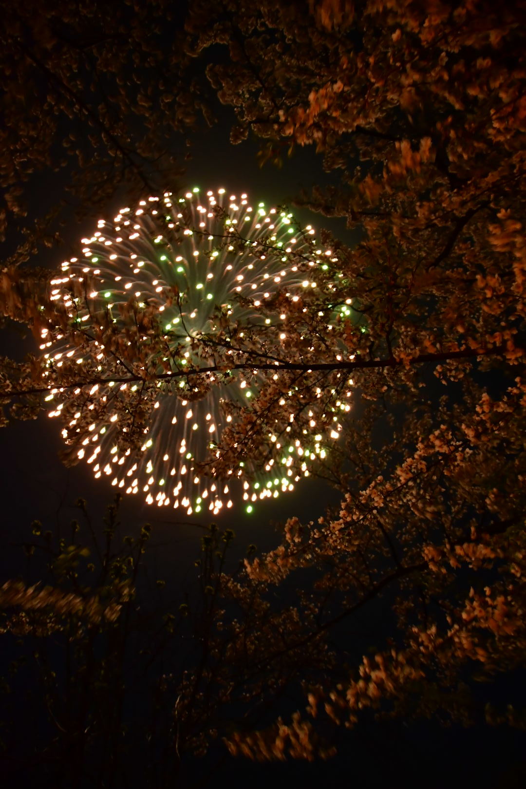 b0223512_23112879.jpeg