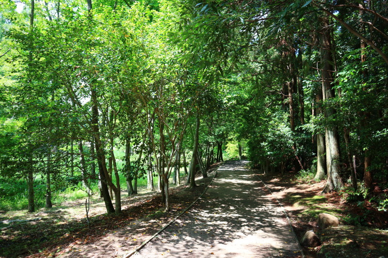 d0371812_08335061.jpg