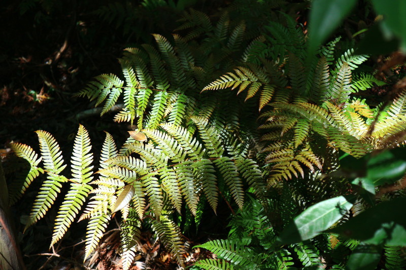 d0371812_08341233.jpg