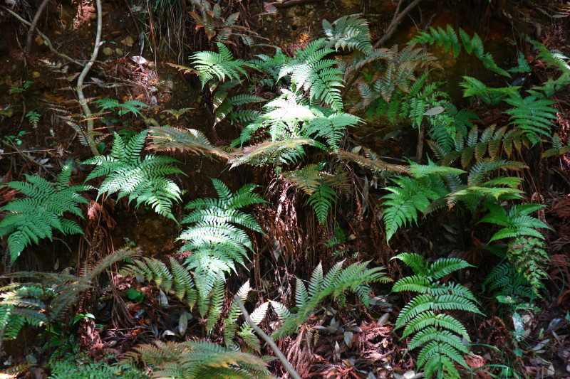 d0371812_08342828.jpg