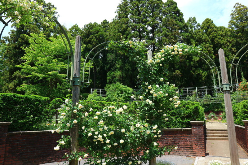 d0371812_08581117.jpg