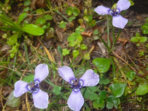 f0371014_06230329.jpg