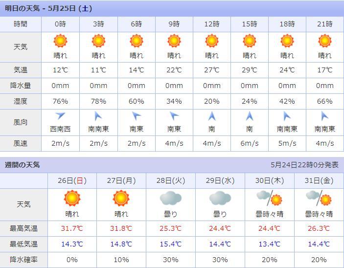 ライラックの季節はフジの季節_c0025115_22571800.jpg