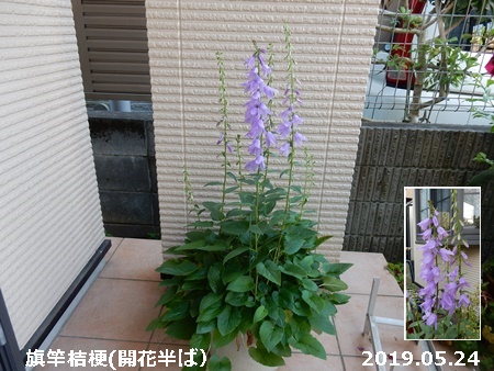 e0033229_1821391.jpg