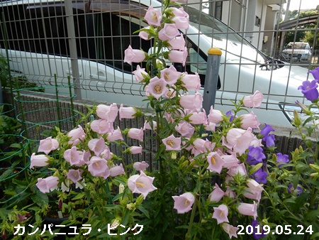 e0033229_1825358.jpg