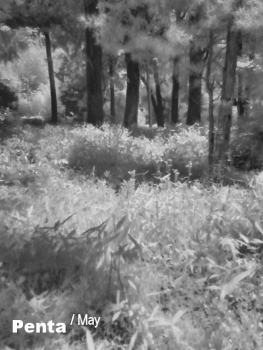 c0227134_22502022.jpg