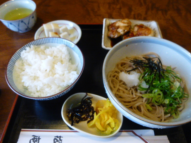 松庵 （しょうあん） どこかかわったかも_d0106134_23121777.jpg