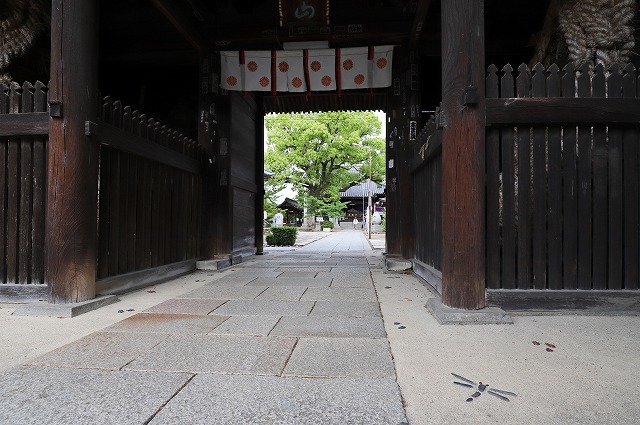 a0242438_21465107.jpg