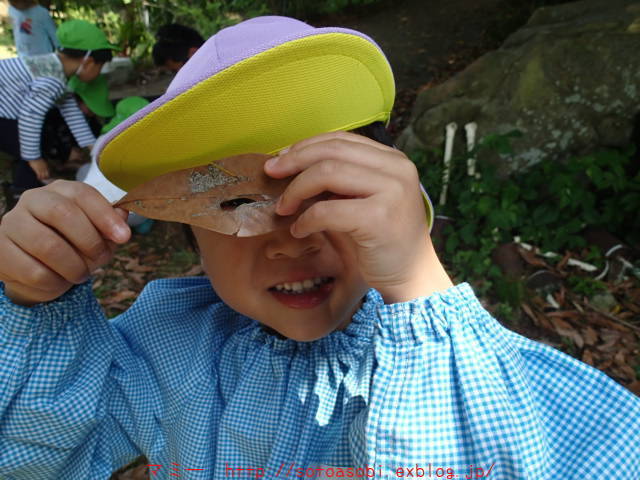 d0105749_15015807.jpg