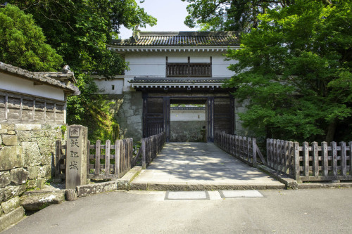 f0077849_17141279.jpg
