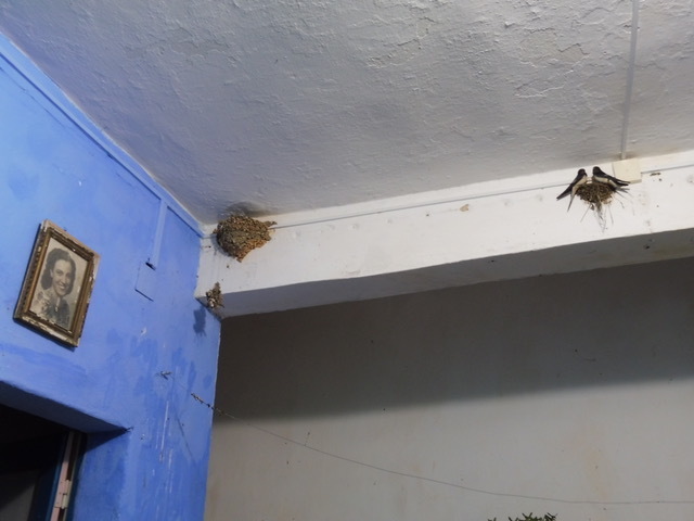 b0396150_08465118.jpeg
