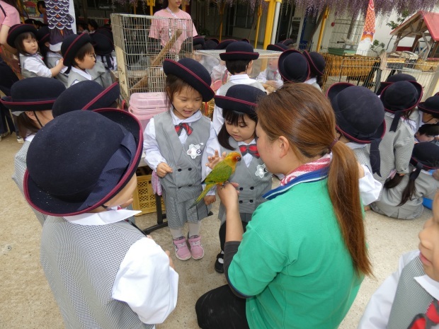 あびこ幼稚園 制服 その他