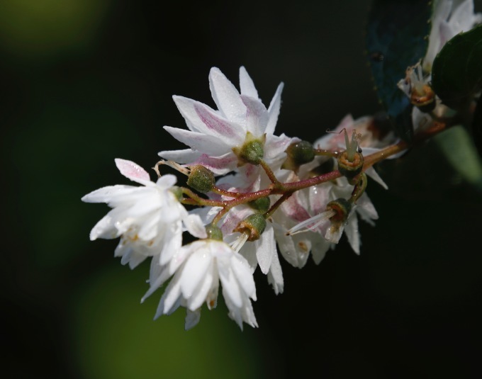 a0248459_13540000.jpg