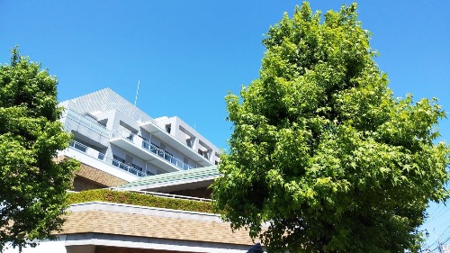 c0190960_6503037.jpg