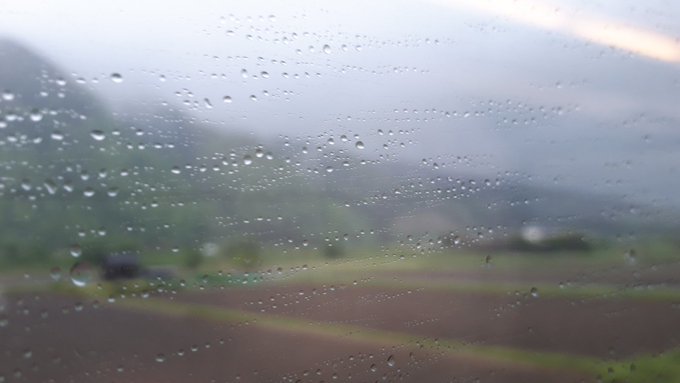 はざま【明治日記】訂正あり・大町桂月・田岡嶺雲・大久保躑躅園・お岩さん・こっくりさん・大津事件、PAPERANG P2、大分の鬼のミイラは浅草生まれ?:2019/5/20-24twitterまとめ_b0116271_13375482.jpg