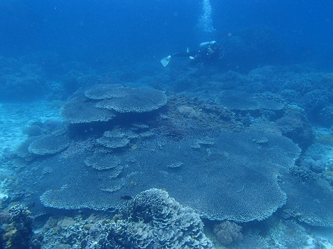 d0363174_21301658.jpg
